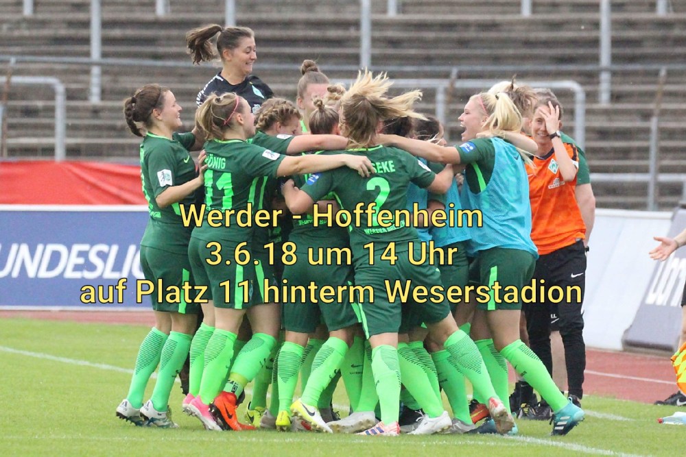 2018-06-01_11-52-36-227