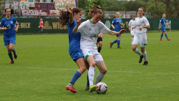 received_2175840629395567